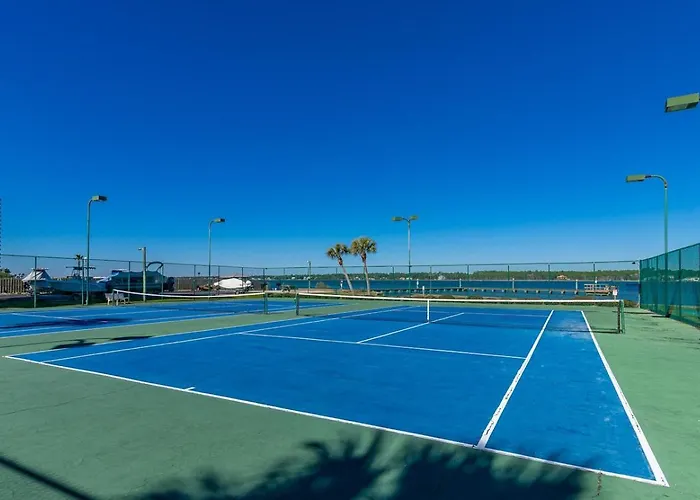 Surf & Racquet 703c